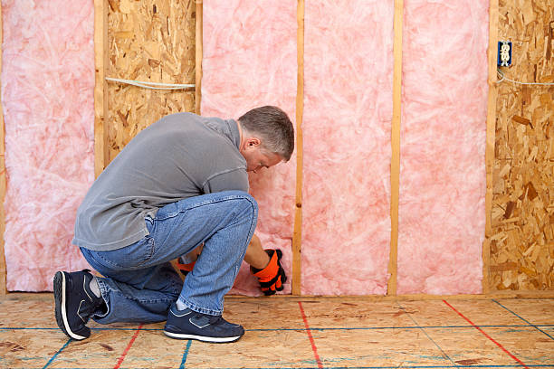 Best Specialized Insulation Services in Mount Vernon, IN