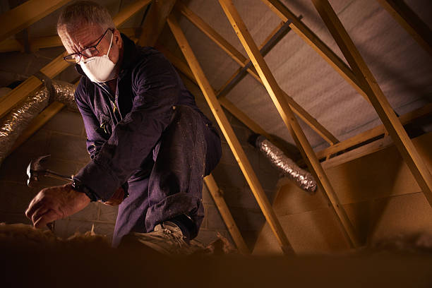 Best Geographic-Specific Insulation Services in Mount Vernon, IN
